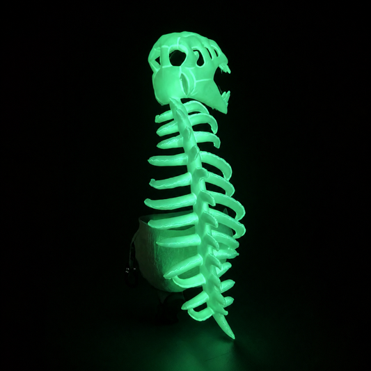 Dinosaur Skeleton Cape - 3D Plush Spinosaurus Halloween Costume