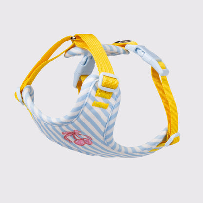 Striped Cherry Dog Harness & Leash Set