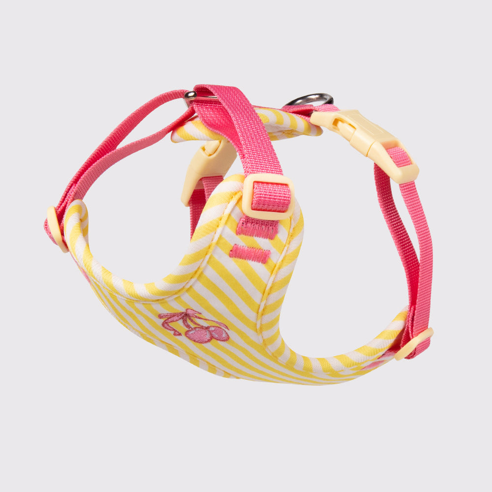 Striped Cherry Dog Harness & Leash Set
