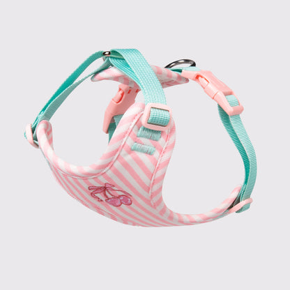 Striped Cherry Dog Harness & Leash Set
