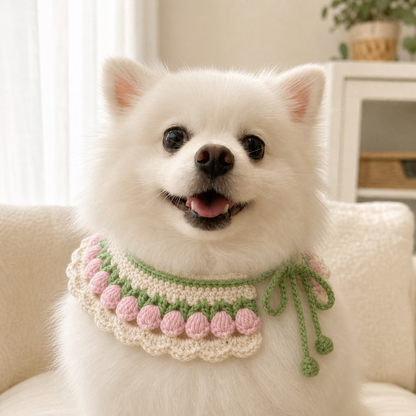 Handmade Pet Yarn Collar