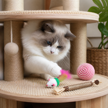 Cat Toy Set | Catnip Fish, Chew Stick, Carrot & More | Doki Pocket