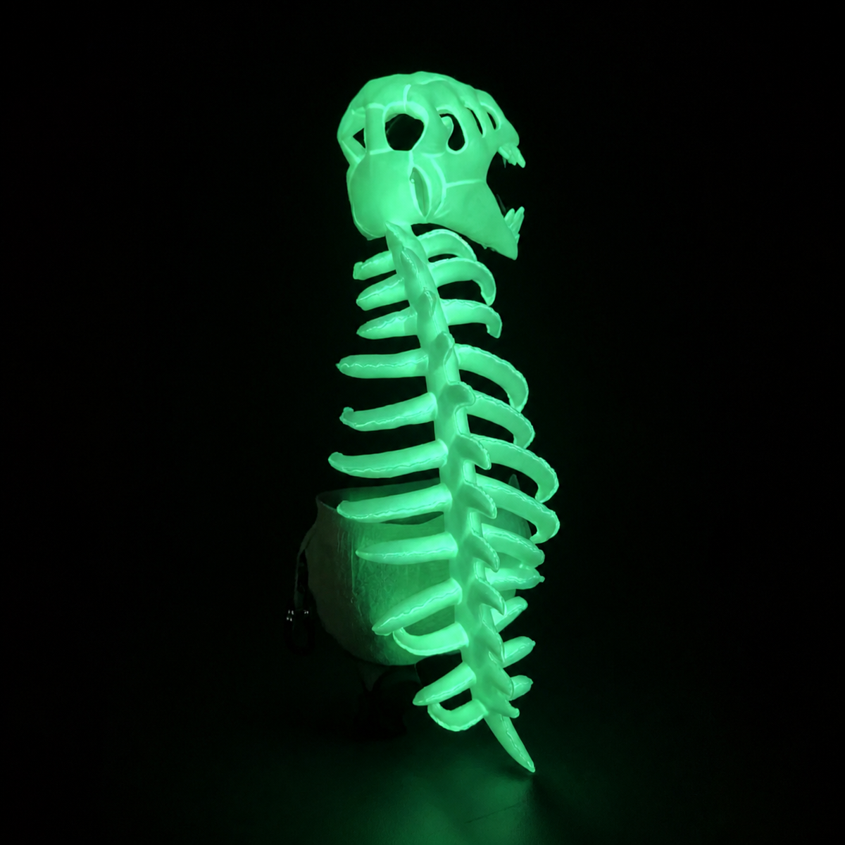 Dinosaur Skeleton Cape - 3D Plush Spinosaurus Halloween Costume