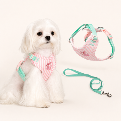 Striped Cherry Dog Harness & Leash Set