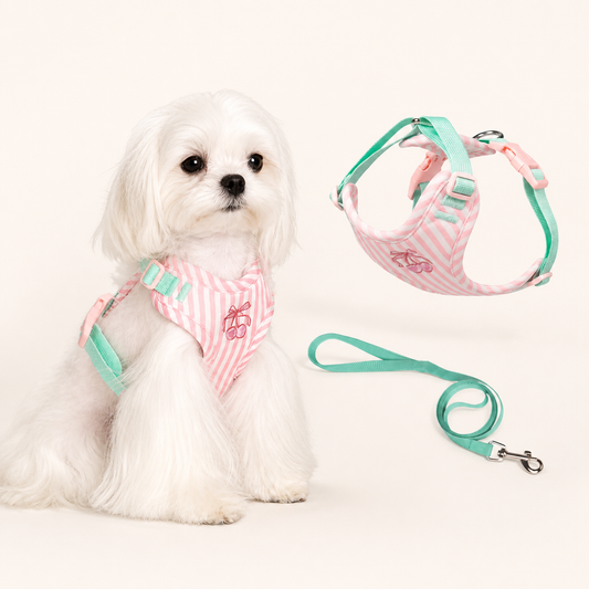 Striped Cherry Dog Harness & Leash Set