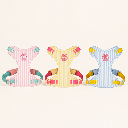 Striped Cherry Dog Harness & Leash Set